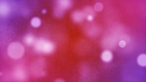 Red Color Delightful Soft Light Bokeh Particles Visuals Shallow Depth — Wideo stockowe