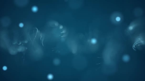 Color Azul Delicioso Bokeh Luz Suave Partículas Visuales Con Poca — Vídeo de stock