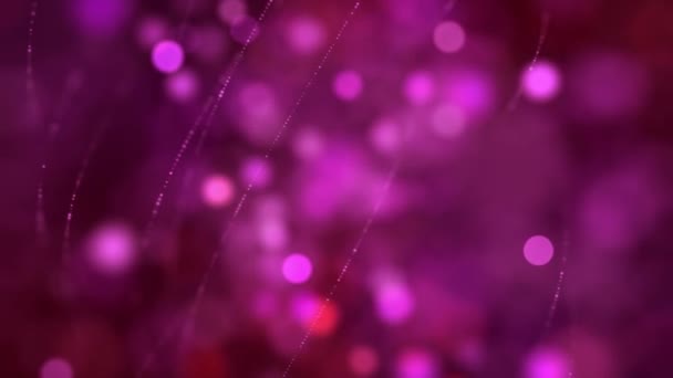 Magenta Color Delightful Soft Light Bokeh Particles Visuals Shallow Depth — Stock video