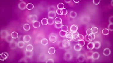 Abstract purple bubble light bokeh background. Elegant, detailed, and delightful bokeh and particles visuals with shallow depth of field. Digitally created soap bubbles floating animation background.