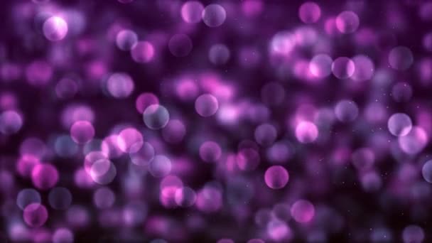 Violet Color Delightful Soft Light Bokeh Particles Visuals Shallow Depth — Vídeos de Stock