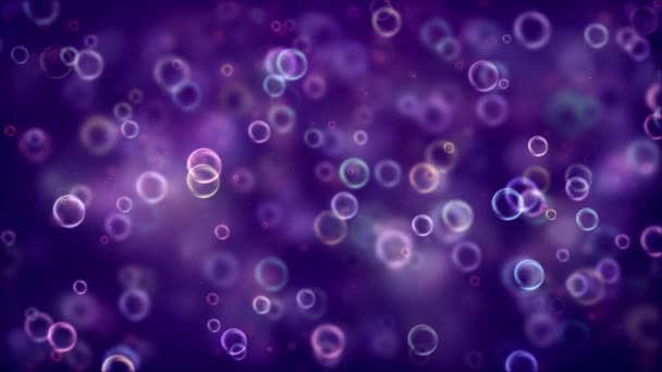 Abstract Purple Bubble Light Bokeh Background Elegant Detailed Delightful Bokeh — Stok video