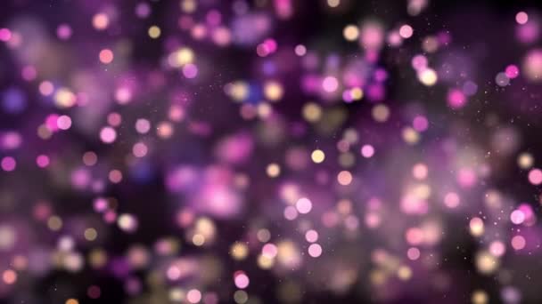 Magenta Color Delightful Soft Light Bokeh Particles Visuals Shallow Depth — Vídeo de Stock