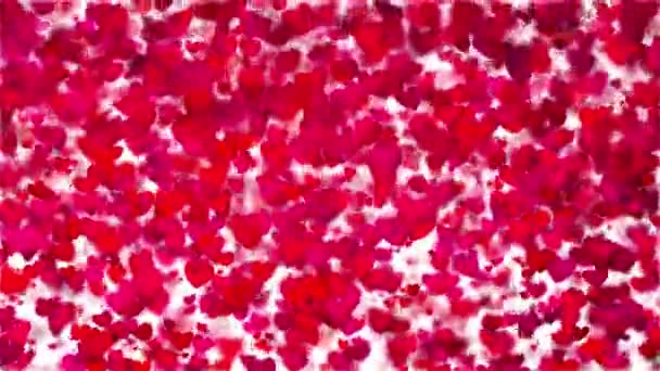 Creciente Flotante Corazón Partículas Animadas Vídeo Fondo Amor Rojo Corazones — Vídeos de Stock