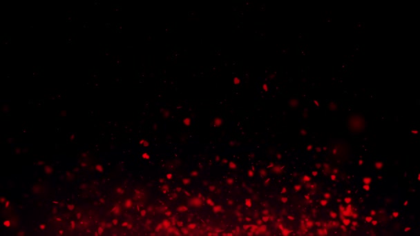 Forma Coração Cor Vermelha Delicioso Bokeh Suave Luz Partículas Visuais — Vídeo de Stock
