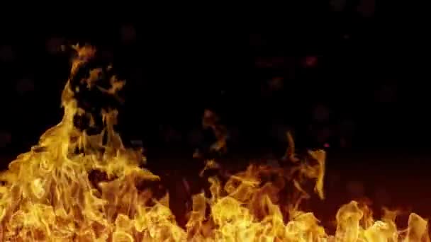 Bright Orange Fire Flames Isolated Black Background Abstract Background Theme — Wideo stockowe