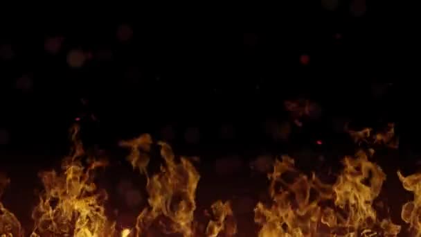 Bright Orange Fire Flames Isolated Black Background Abstract Background Theme — Video Stock