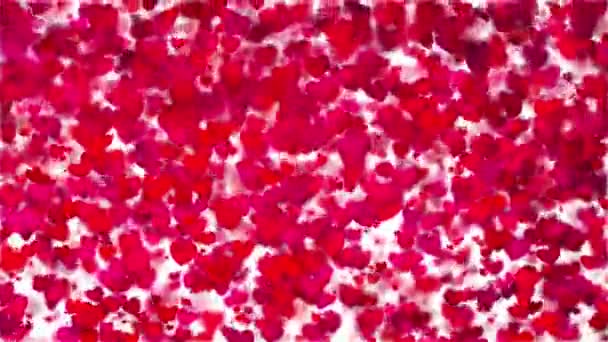上升和漂浮的心粒子动画背景视频 红红的爱之心闪烁着闪光的粒子运动环路背景 欢天喜地 欢天喜地 心花怒放情人节 — 图库视频影像