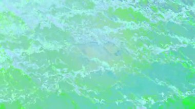 Soyut model sıvı yüzey neonu ve canlı renkli hareket arkaplan rengi. Akışkan sanat. Grunge Sanat Mürekkep Boyası akışkan hareketle.