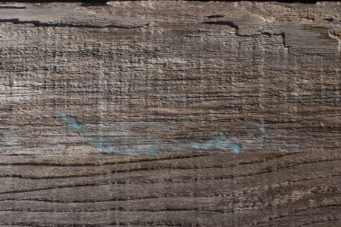 Natural and organic everyday wooden object's textures. Reclaimed wood Wall Paneling texture. Grunge hardwood wooden plank wall texture. Texture, backdrop and background for video and graphics.