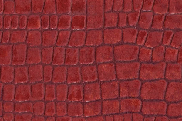 Red Crocodile Skin Texture Stock Photo, Picture and Royalty Free Image.  Image 18853946.