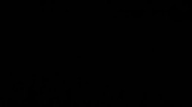 Sinematik görüntüler için Amorfik Gerçekçi ve Organik Kamera Işık Sızıntıları ve Geçişler. Optik mercek patlaması, Işık sızıntısı, Stüdyo alevi, yanıp sönen ışıklar, doğal lamba ışığı efekti.