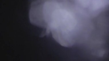 Sinematik görüntüler için Amorfik Gerçekçi ve Organik Kamera Işık Sızıntıları ve Geçişler. Optik mercek patlaması, Işık sızıntısı, Stüdyo alevi, yanıp sönen ışıklar, doğal lamba ışığı efekti.