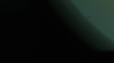 Amorfik Yeşil Gerçekçi ve organik kamera Işık Sızıntıları ve Sinema Görüntüleri Geçişi. Optik mercek patlaması, Işık sızıntısı, Stüdyo alevi, yanıp sönen ışıklar, doğal lamba ışığı efekti.