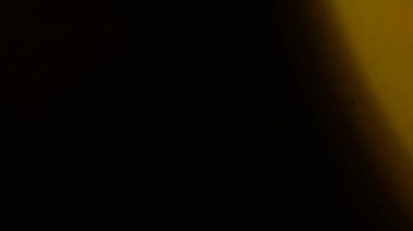 Sinematik görüntüler için Amorfik Altın Gerçekçi ve Organik Kamera Işık Sızıntıları ve Geçişler. Optik mercek patlaması, Işık sızıntısı, Stüdyo alevi, yanıp sönen ışıklar, doğal lamba ışığı efekti.