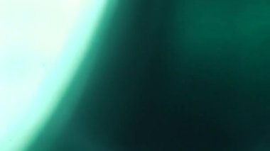 Amorfik Yeşil Gerçekçi ve organik kamera Işık Sızıntıları ve Sinema Görüntüleri Geçişi. Optik mercek patlaması, Işık sızıntısı, Stüdyo alevi, yanıp sönen ışıklar, doğal lamba ışığı efekti.