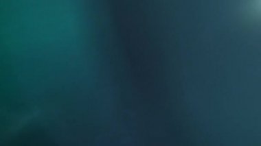 Mavi renkli, gerçek ve organik kamera. Sinema videoları için ışık sızıntısı var. Optik mercek patlaması, Işık sızıntısı, Stüdyo alevi, yanıp sönen ışıklar, doğal lamba ışığı efekti.