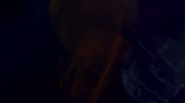 Mavi renkli, gerçek ve organik kamera. Sinema videoları için ışık sızıntısı var. Optik mercek patlaması, Işık sızıntısı, Stüdyo alevi, yanıp sönen ışıklar, doğal lamba ışığı efekti.