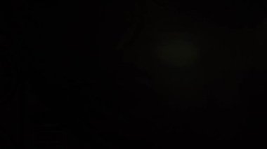 Sinematik görüntüler için Amorfik Altın Gerçekçi ve Organik Kamera Işık Sızıntıları ve Geçişler. Optik mercek patlaması, Işık sızıntısı, Stüdyo alevi, yanıp sönen ışıklar, doğal lamba ışığı efekti.