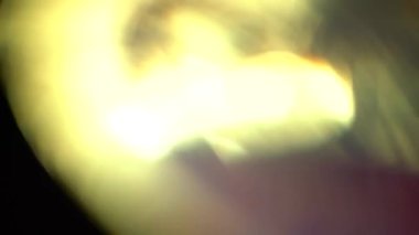 Sinematik görüntüler için Amorfik Gerçekçi ve Organik Kamera Işık Sızıntıları ve Geçişler. Optik mercek patlaması, Işık sızıntısı, Stüdyo alevi, yanıp sönen ışıklar, doğal lamba ışığı efekti.