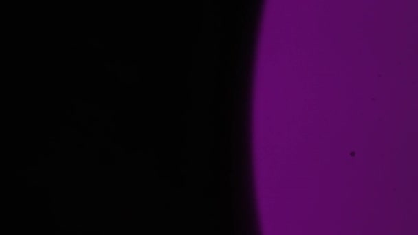 Amorfisk Violett Realistisk Och Organisk Kamera Ljusläckor Och Övergångar För — Stockvideo