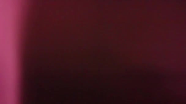 Amorfisk Rosa Realistisk Och Organisk Kamera Ljusläckor Och Övergångar För — Stockvideo
