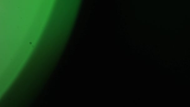 Amorfa Grön Realistisk Och Organisk Kamera Ljus Läckor Och Övergångar — Stockvideo