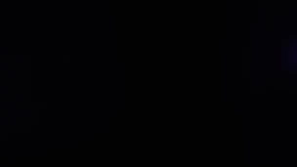 Аморфна Фіолетова Реалістична Органічна Камера Світло Листки Перехід Кінематографічних Кадрів — стокове відео