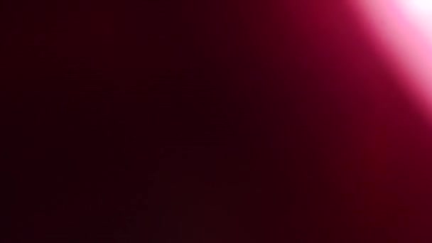 非現実的で有機的なピンクのカメラ映画の映像のための光漏れと遷移 光学レンズフレア 光漏れ スタジオフレア フラッシュライト 自然光ランプ光線効果 — ストック動画
