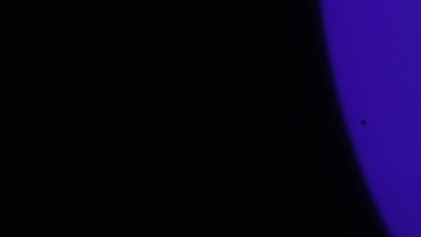 非形象化的紫色写实主义和有机相机光泄漏和电影镜头的转换 光学透镜照明弹 发光灯 演播室照明灯 闪光灯 自然照明灯的效果 — 图库视频影像