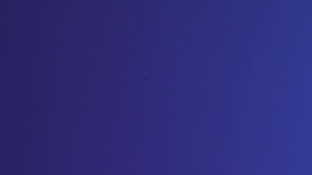 Аморфный Фиолетовый Органический Фотоаппарат Light Leaks Transitions Съемок Кино Вспышка — стоковое видео
