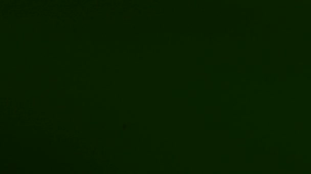 Amorphic Green現実的かつ有機的なカメラ映画の映像のための光漏れと遷移 光学レンズフレア 光漏れ スタジオフレア フラッシュライト 自然光ランプ光線効果 — ストック動画