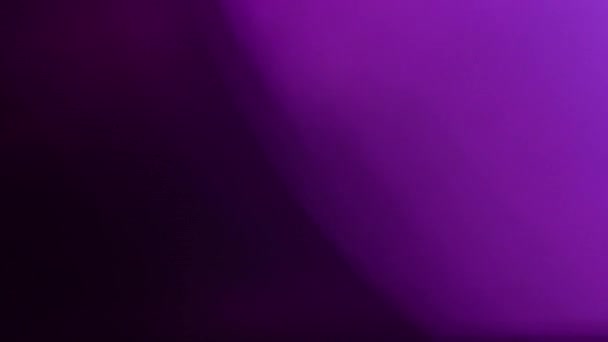 Amorphe Violette Realistische Und Organische Kamera Lichtlecks Und Übergänge Für — Stockvideo