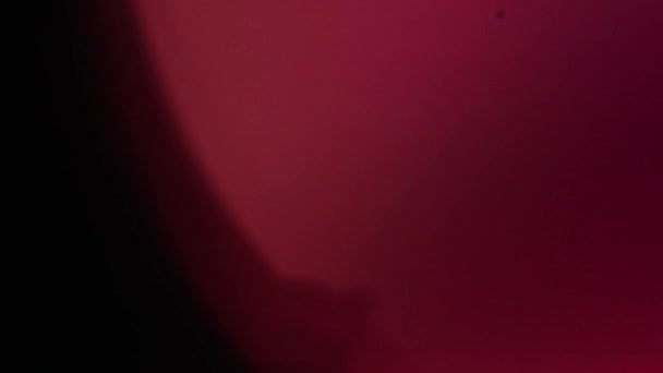 Аморфная Красная Органическая Камера Light Leaks Transitions Съемок Кино Вспышка — стоковое видео