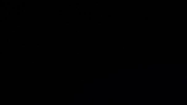 フォーマルブルーのリアルで有機的なカメラ映画の映像のための光漏れと遷移 光学レンズフレア 光漏れ スタジオフレア フラッシュライト 自然光ランプ光線効果 — ストック動画