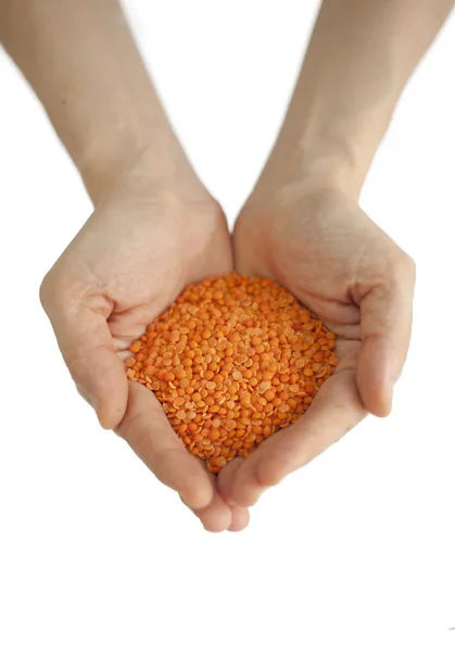 Lentil — Stock Photo, Image