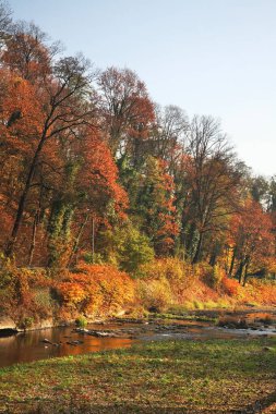 Cieszyn 'deki Olza Nehri. Polonya