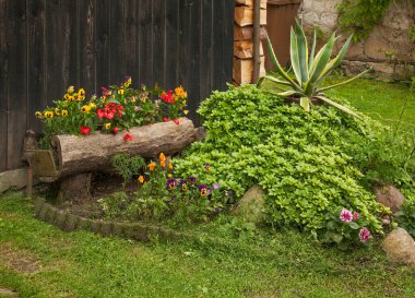 Kazimierz Dolny 'deki Bahçe 1. Polonya