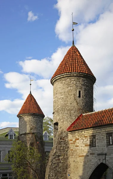Muro Della Città Tallinn Estonia — Foto Stock