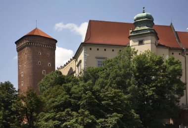 Wawel Krakow 'da. Polonya