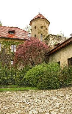 Pieskowa Skala (Küçük Köpek Kayası) şatosu Ojcow Ulusal Parkı 'nda. Polonya