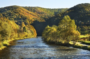 Terka köyü yakınlarındaki Solinka nehri. Subcarpathian Voyvoda. Polonya