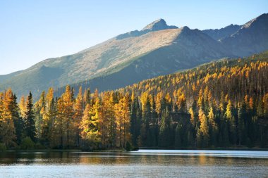Strbske Pleso Gölü. Slovakya