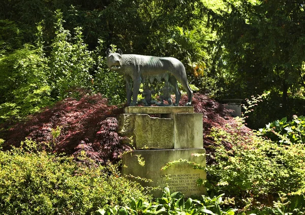 Estatua Lobo Capitolino Lupa Capitolina Park Palazzo Attems Santa Croce — Foto de Stock