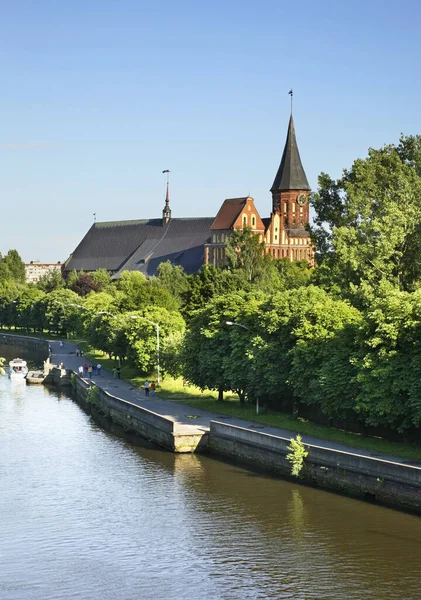 Konigsberg Domkirke Kaliningrad Rusland - Stock-foto