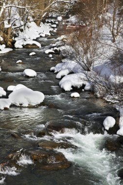 La Cortinada 'daki Valira d Orient Nehri. Andorra.