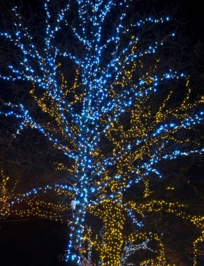 Varşova 'daki Nowy Swiat sokağının tatil süslemeleri. Polonya