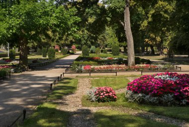 Zary 'deki Przypalacowy Parkı. Polonya