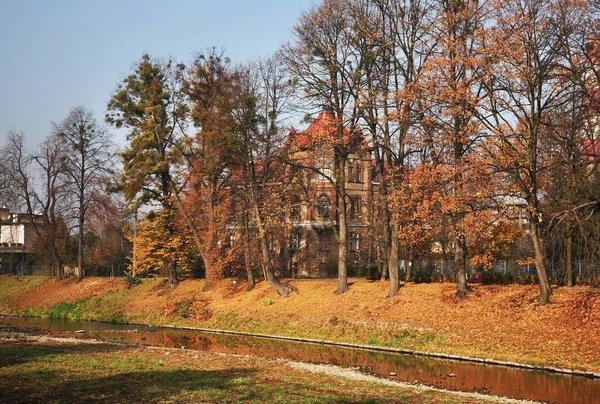 Rzeka Olza Cieszynie Polska — Zdjęcie stockowe