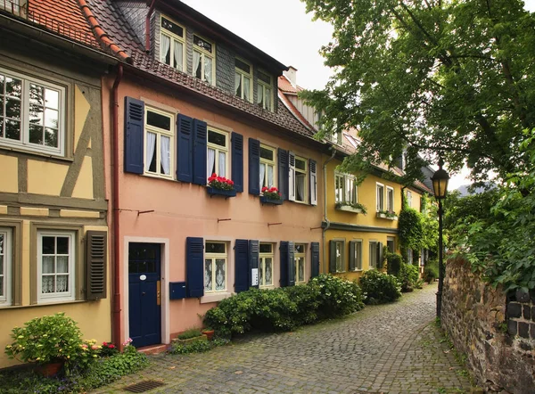 Vista Hochst Quartiere Francoforte Sul Meno Paesi Bassi — Foto Stock